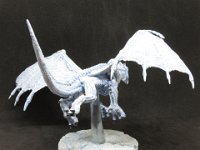 IMG 2736  Young White Dragon